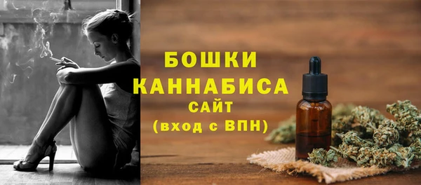 амф Арсеньев