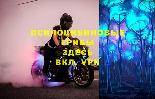 амф Арсеньев