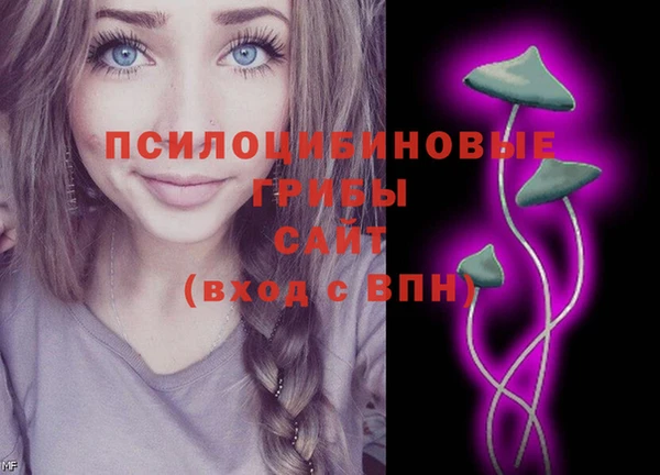 амф Арсеньев